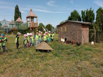 2018-05-18 Wycieczka do Wrzosowa do Parku Dinozaurów / motylki0006.jpg