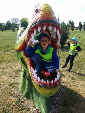 2018-05-18 Wycieczka do Wrzosowa do Parku Dinozaurów / motylki0014.jpg