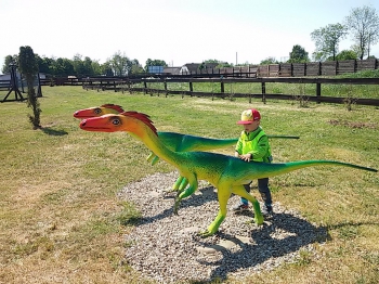 2018-05-18 Wycieczka do Wrzosowa do Parku Dinozaurów / motylki0080.jpg