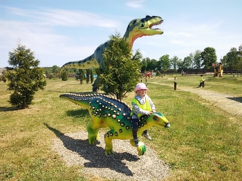2018-05-18 Wycieczka do Wrzosowa do Parku Dinozaurów / motylki0081.jpg