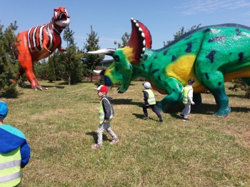 2018-05-18 Wycieczka do Wrzosowa do Parku Dinozaurów / motylki0113.jpg
