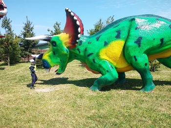 2018-05-18 Wycieczka do Wrzosowa do Parku Dinozaurów / motylki0117.jpg