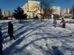 2018-02-06 Zabawa na śniegu / Image006.jpg