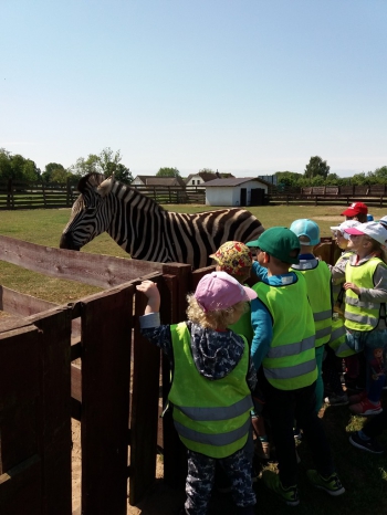 2018-05-18 Wycieczka do Wrzosowa do Parku Dinozaurów / motylki0084.jpg