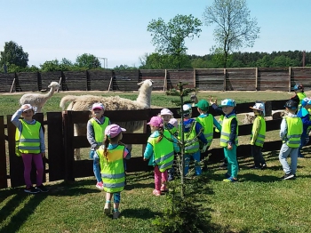 2018-05-18 Wycieczka do Wrzosowa do Parku Dinozaurów / motylki0085.jpg