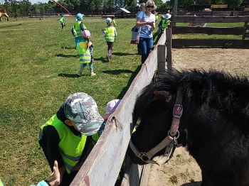 2018-05-18 Wycieczka do Wrzosowa do Parku Dinozaurów / motylki0089.jpg