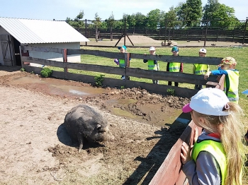 2018-05-18 Wycieczka do Wrzosowa do Parku Dinozaurów / motylki0090.jpg