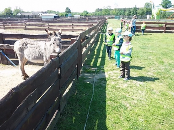 2018-05-18 Wycieczka do Wrzosowa do Parku Dinozaurów / motylki0093.jpg