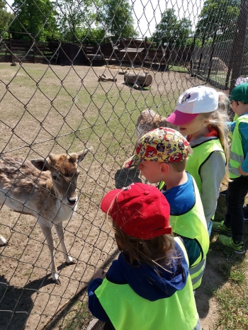 2018-05-18 Wycieczka do Wrzosowa do Parku Dinozaurów / motylki0096.jpg