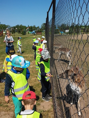 2018-05-18 Wycieczka do Wrzosowa do Parku Dinozaurów / motylki0097.jpg