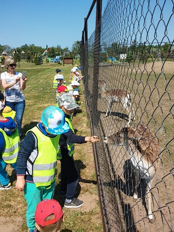 2018-05-18 Wycieczka do Wrzosowa do Parku Dinozaurów / motylki0098.jpg