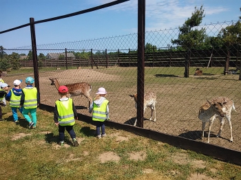 2018-05-18 Wycieczka do Wrzosowa do Parku Dinozaurów / motylki0099.jpg