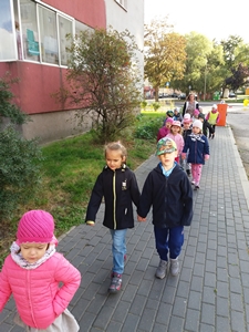 2017-09-22 Kotki z wizytą w OREW oraz NPS 