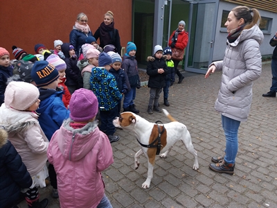 2017-11-17 Odwiedziny w Schronisku dla Bezdomnych Zwierząt w Świnoujściu / Image009.jpg