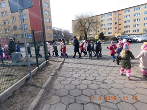 2018-03-21 Kotki szukają wiosny / Image017.jpg