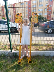 2018-05-28 Dzień Mamy i Taty oraz piknik rodzinny / Image087.jpg