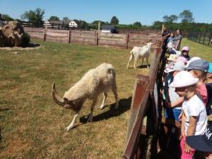 2018-06-07 Wycieczka do Bałtyckiego Parku Dinozaurów / Image025.jpg