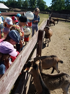 2018-06-07 Wycieczka do Bałtyckiego Parku Dinozaurów / Image026.jpg