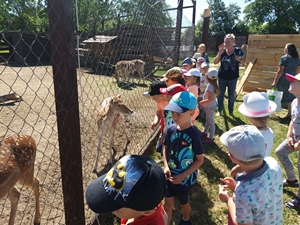 2018-06-07 Wycieczka do Bałtyckiego Parku Dinozaurów / Image027.jpg