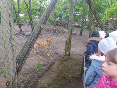 16-05-2019 Wycieczka do ZOO w Ueckermünde / Image00024.jpg