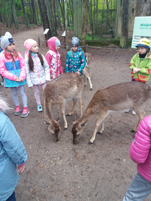 16-05-2019 Wycieczka do ZOO w Ueckermünde / Image00031.jpg