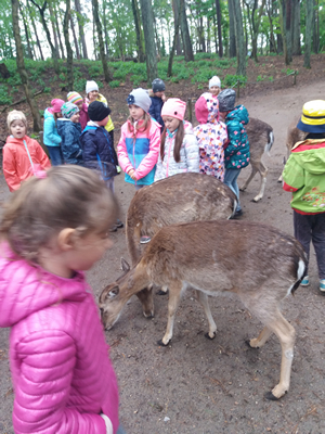 16-05-2019 Wycieczka do ZOO w Ueckermünde / Image00032.jpg