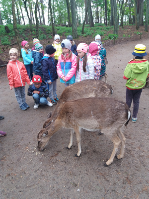 16-05-2019 Wycieczka do ZOO w Ueckermünde / Image00033.jpg
