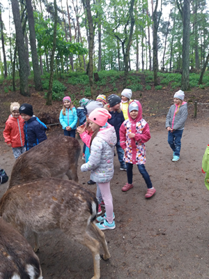 16-05-2019 Wycieczka do ZOO w Ueckermünde / Image00035.jpg