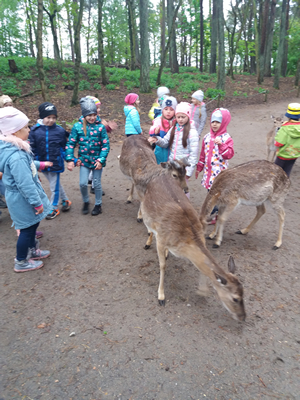 16-05-2019 Wycieczka do ZOO w Ueckermünde / Image00037.jpg
