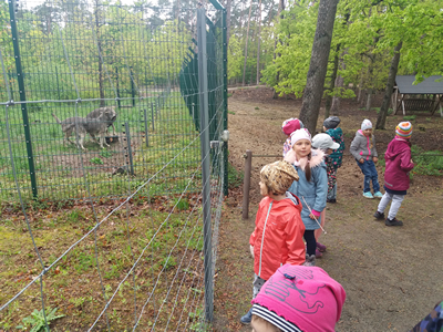 16-05-2019 Wycieczka do ZOO w Ueckermünde / Image00039.jpg