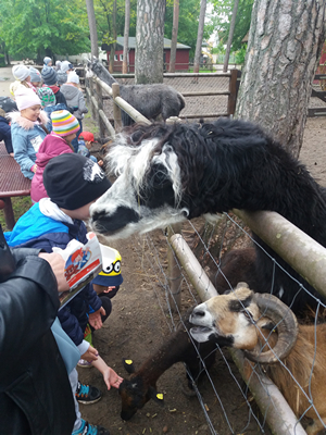 16-05-2019 Wycieczka do ZOO w Ueckermünde / Image00048.jpg