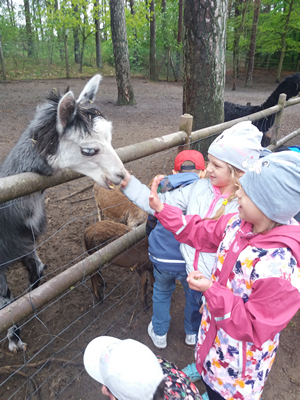 16-05-2019 Wycieczka do ZOO w Ueckermünde / Image00049.jpg