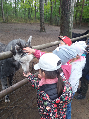 16-05-2019 Wycieczka do ZOO w Ueckermünde / Image00050.jpg