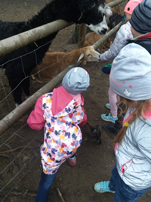 16-05-2019 Wycieczka do ZOO w Ueckermünde / Image00051.jpg