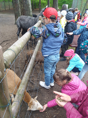 16-05-2019 Wycieczka do ZOO w Ueckermünde / Image00054.jpg