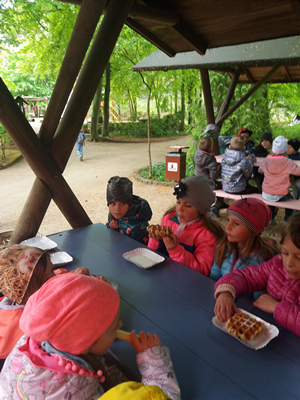 16-05-2019 Wycieczka do ZOO w Ueckermünde / Image00074.jpg