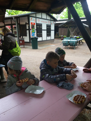 16-05-2019 Wycieczka do ZOO w Ueckermünde / Image00079.jpg