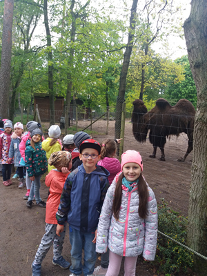 16-05-2019 Wycieczka do ZOO w Ueckermünde / Image00084.jpg
