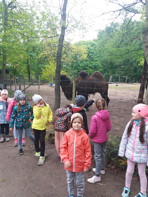 16-05-2019 Wycieczka do ZOO w Ueckermünde / Image00085.jpg